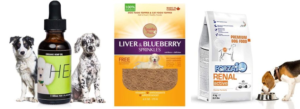 Picture of Top 5 Dog Foods for Dogs with Autoimmune Disease: Reviews & Guide