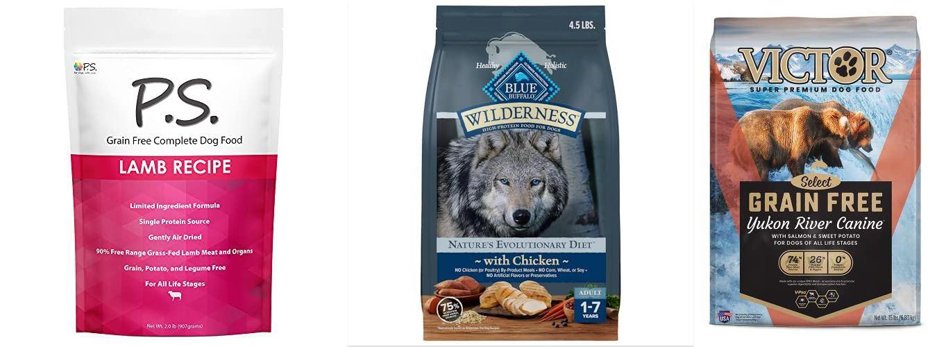 Best dog food for epilepsy