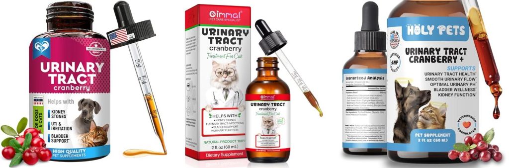 Best Antibiotic For Cat Urinary Tract Infection - Top 5 Picks & Review - Cat Urinary Tract Infection Prevention And Digestive Enzymes